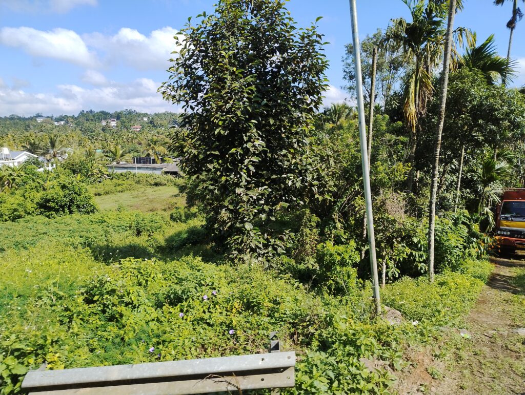 IMG_20241001_090830717_HDR